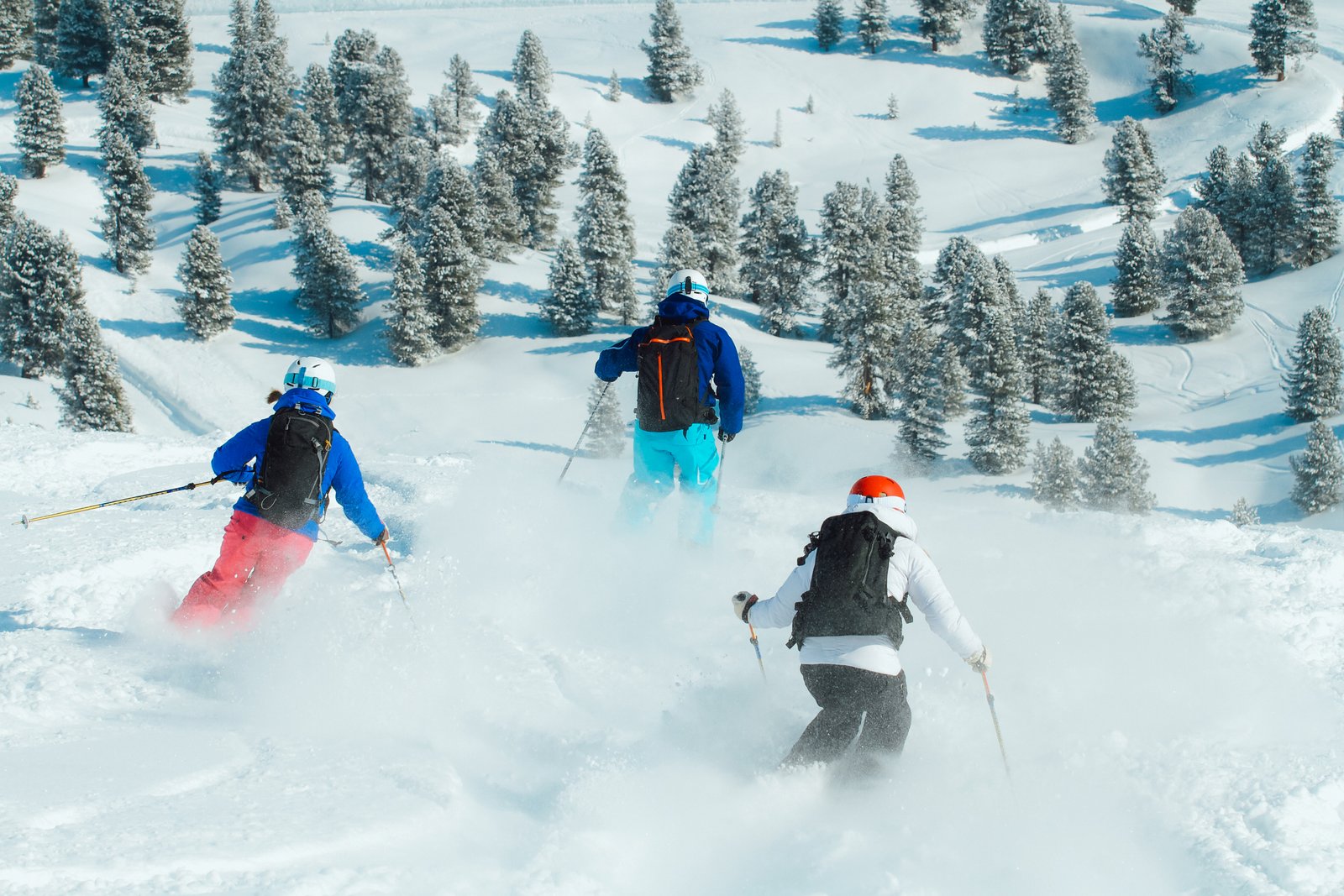 Guided backcountry tour