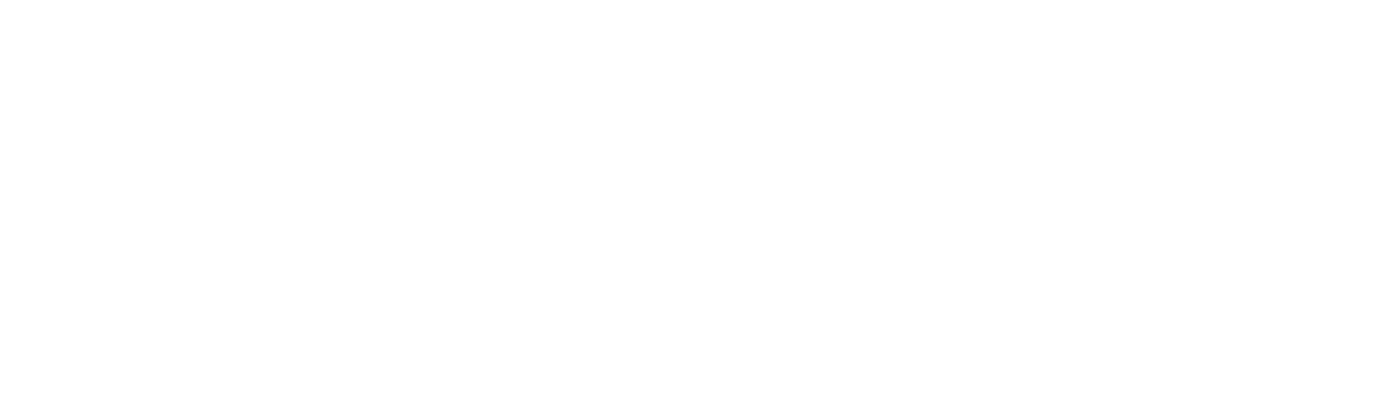 SNOWHAUS GULMARG 2027